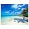 Designart - Tropical Beach with Palm Shadows - Large Seashore Canvas Print